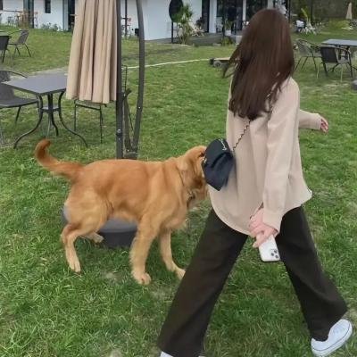 死亡标记